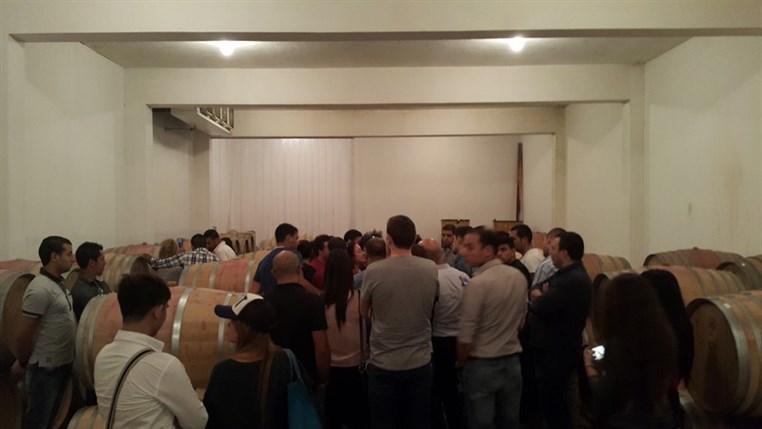 Wine Tasting at Domaine Wardy 